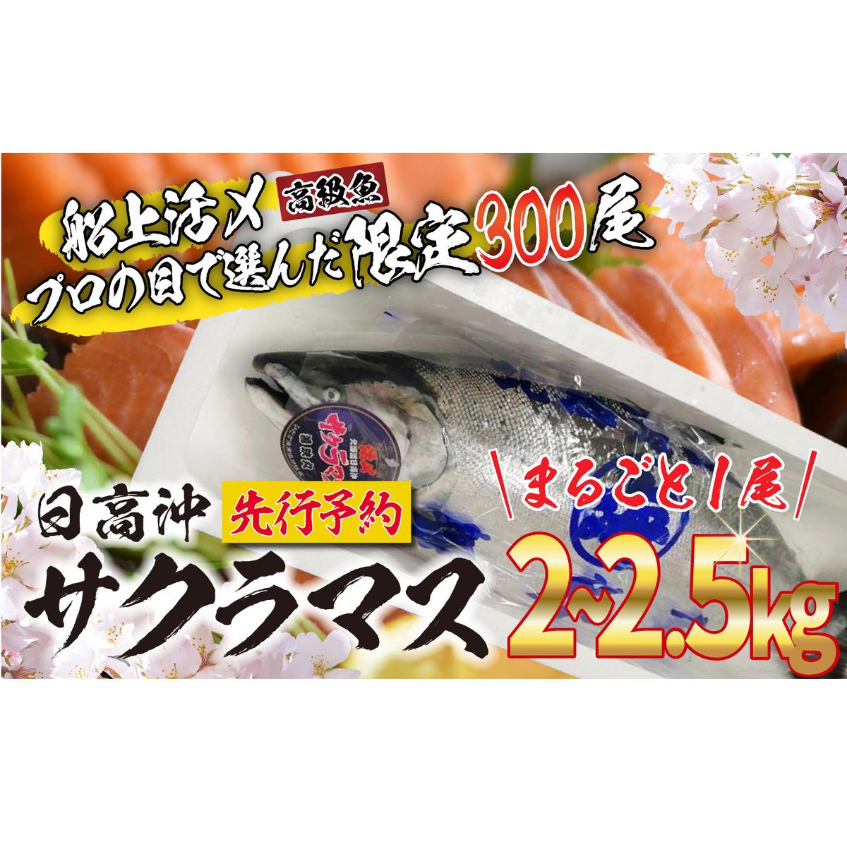 <2026年5月から順次発送> 北海道産 サクラマス 2〜2.5kg まるごと 1尾 <予約商品> 北海道新ひだか町19500魚介・海産物