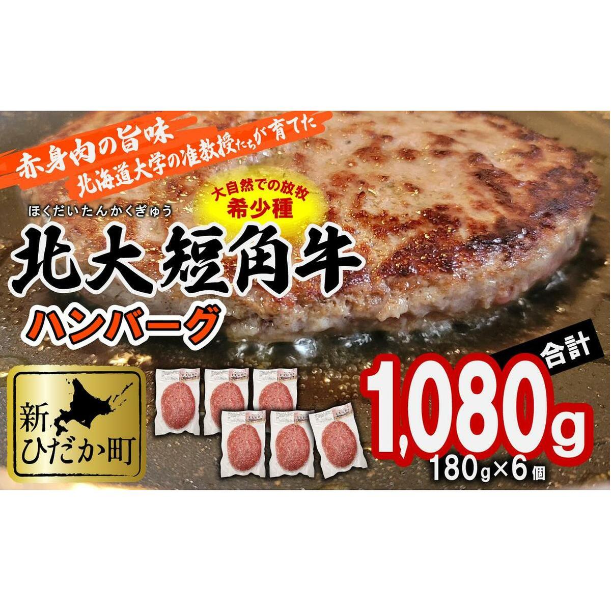 北海道産 北大 短角牛 ハンバーグ 計 1080g (180g×6枚) 北海道新ひだか町18500肉
