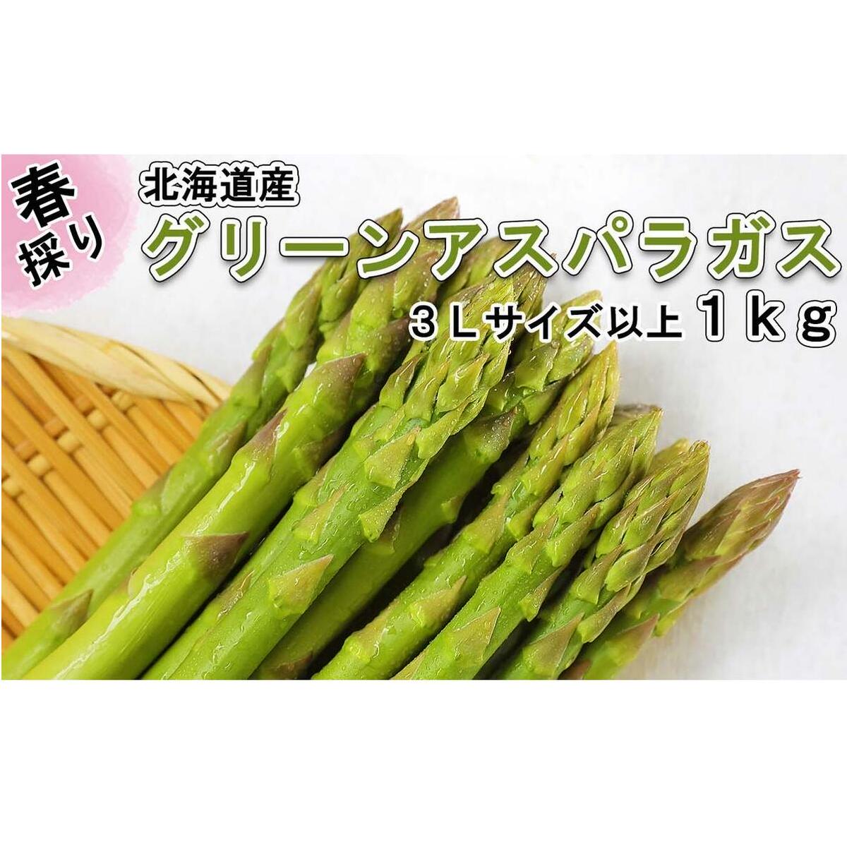 <先行予約> 北海道産 春採り グリーン アスパラガス 1kg 3Lサイズ以上 <2023年5月上旬より発送>北海道新ひだか町13500野菜・きのこ