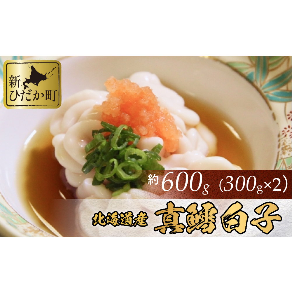 11{蔭 kCY ^L q 600g i 300g × 2pbN j }^ }_ ^`  L ^   \񏤕i kCVЂ13000ECY