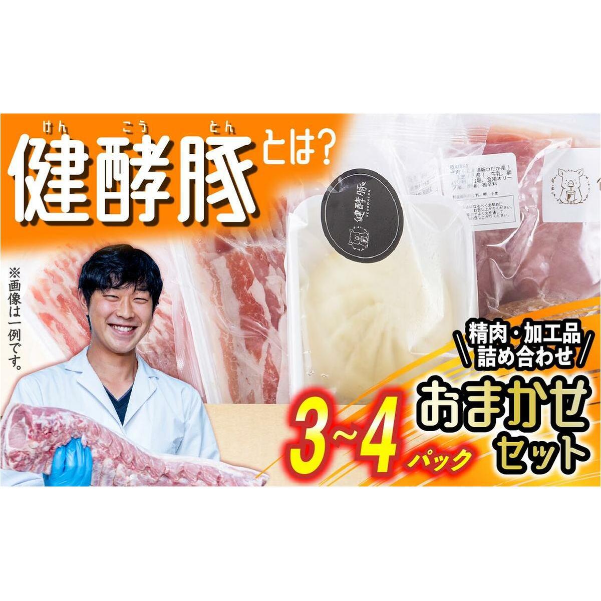 北海道産 健酵豚 おまかせ セット 3〜4パック 豚肉 精肉 加工品 おためし 詰め合わせ ブランドポーク北海道新ひだか町13000肉