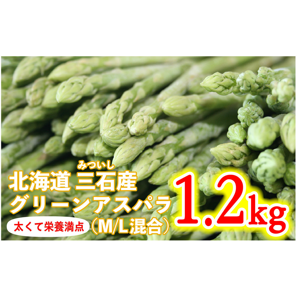  2026N4蔭   kCY O[AXp M / L  1.2kg  \t kCVЂ15000؁Ê̑ 