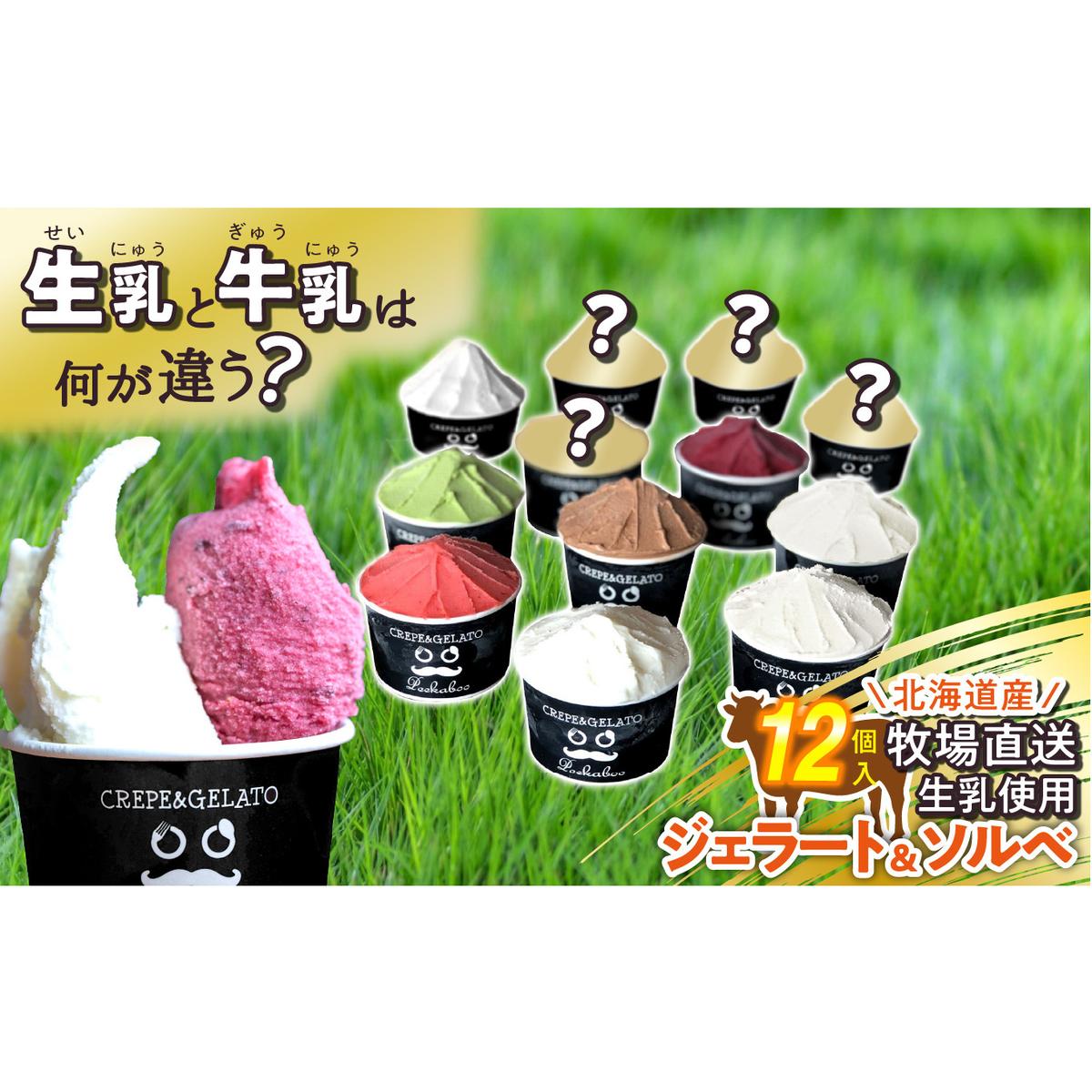 北海道産 生乳 ジェラート アイス 12個入り ジェラートセット北海道新ひだか町13500菓子・スイーツアイス・ジェラート