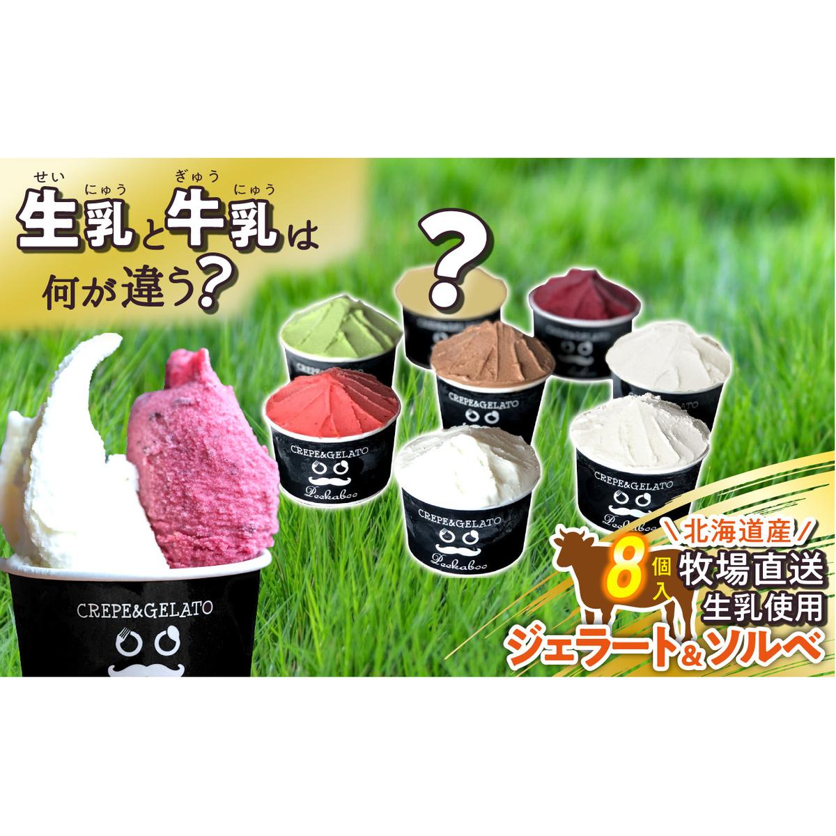 北海道産 生乳 ジェラート アイス 8個 ジェラートセット北海道新ひだか町10000菓子・スイーツアイス・ジェラート