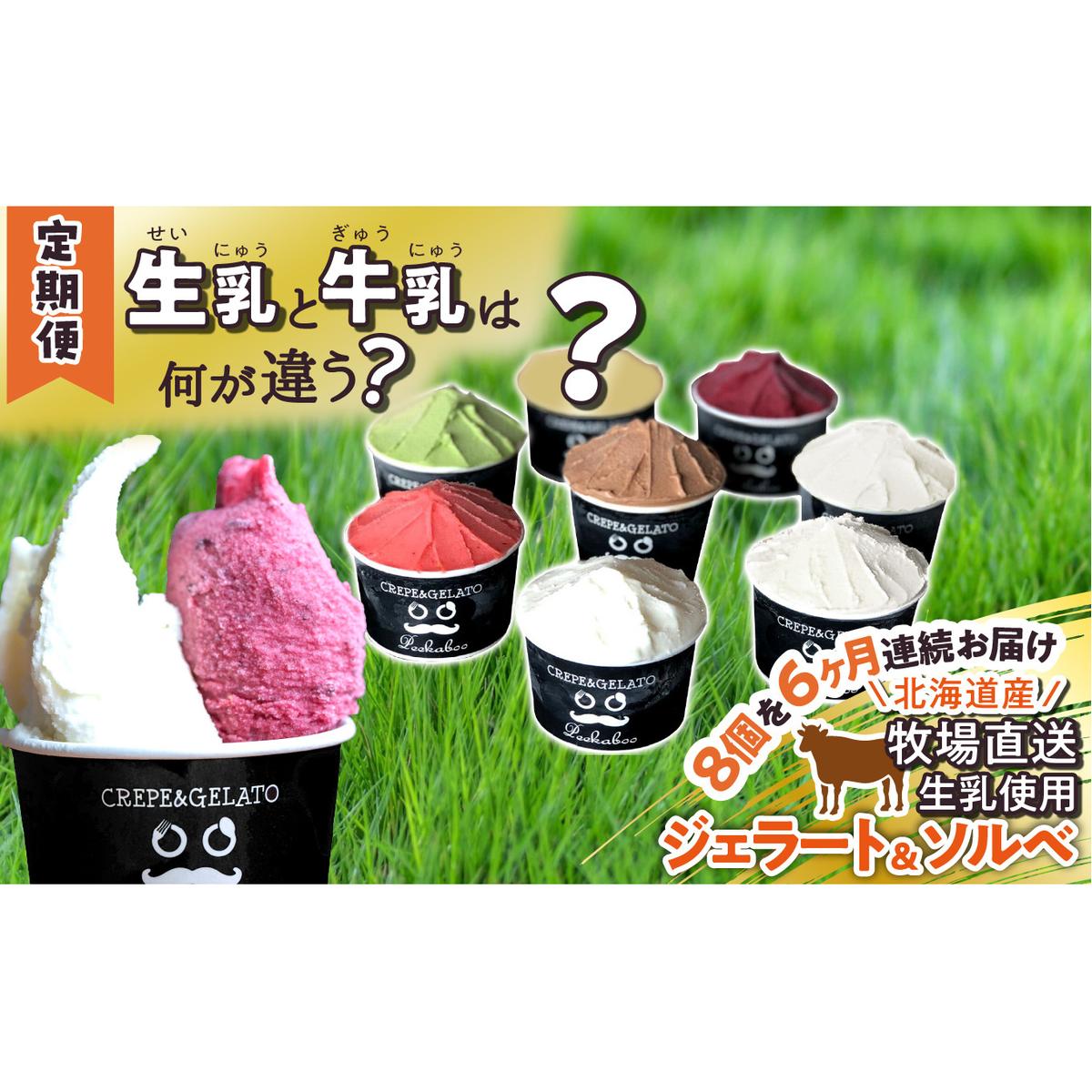 <6ヶ月定期便>北海道産 生乳 ジェラート アイス 毎月8個  詰め合わせ ジェラートセット北海道新ひだか町75000菓子・スイーツアイス・ジェラート