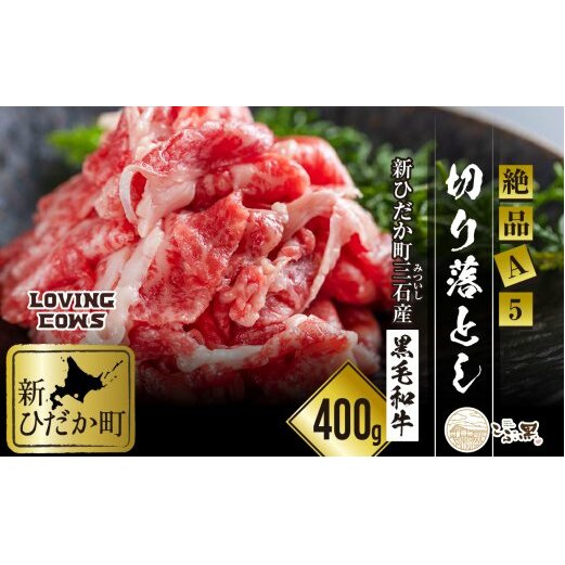 kCY јa ԍ A5  o ؂藎Ƃ 400g LCkCVЂ19500