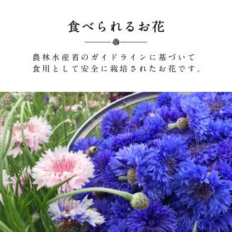 食べられるドライフラワーおまかせ5点セット(ドライエディブルフラワー) A-G13 87farm滋賀県東近江市17000鍋セット・総菜・加工食品その他 鍋セット・総菜・加工食品