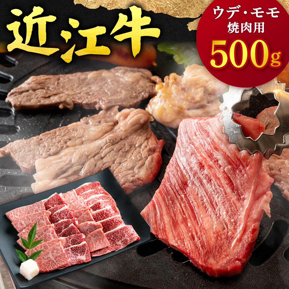 近江牛 ウデ ・ モモ 焼肉用 500g 本多商店 滋賀県 東近江市 B-F12 近江牛 ウデ モモ 焼肉 牛肉 和牛 肉 霜降り 赤身 美味しい ギフト プレゼント 贈答品 お取り寄せ 高級滋賀県東近江市26000肉牛