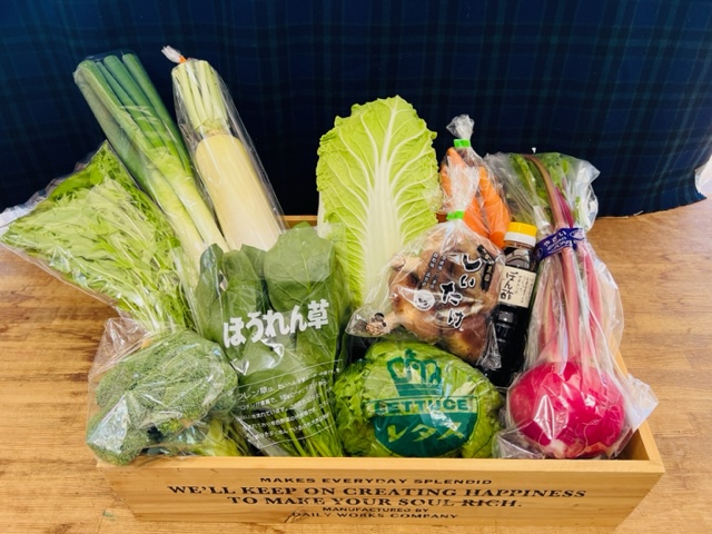 東近江市産とれたて季節の旬野菜セット4回定期便 一般財団法人愛の田園振興公社 滋賀県 東近江市 D28 野菜セット 旬野菜 定期便 詰め合わせ お取り寄せ 産地直送 新鮮野菜 滋賀県産 東近江