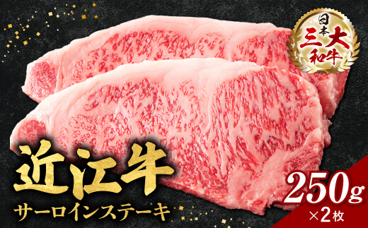 近江牛サーロインステーキ250g×2枚(箱なしエコ包装) E-E05 いろは精肉店滋賀県東近江市55000肉牛肉