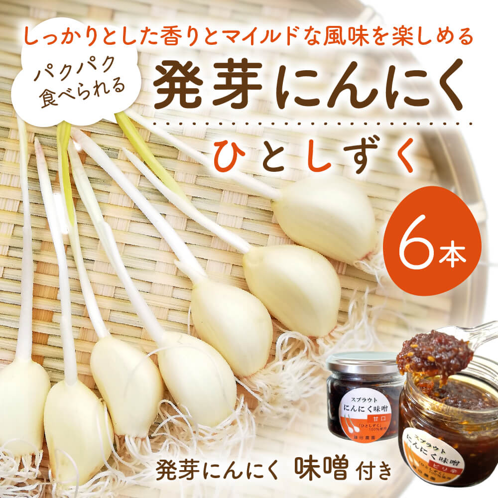 発芽にんにく6本入り1袋+発芽にんにく味噌 甘口・ピリ辛 140g1瓶ずつ  O-F08  株式会社藤田電気工業(藤田農園)滋賀県東近江市6000野菜・きのこその他 野菜