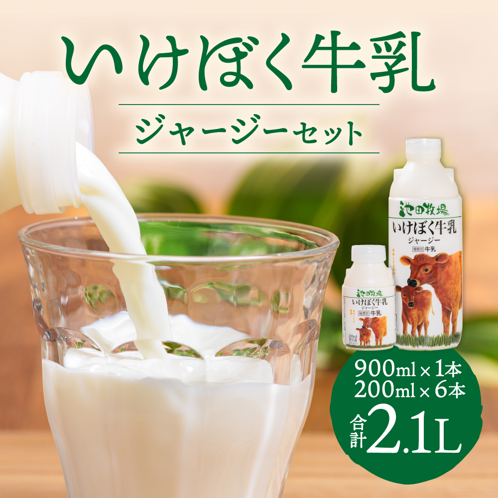 いけぼく牛乳ジャージーセット 池田牧場 滋賀県 東近江市 O-H13 ジャージー牛乳 黄金のミルク 濃厚 ミルク 成分無調整 低温殺菌 牧場直送 滋賀滋賀県東近江市8000卵・乳製品牛乳・乳飲料