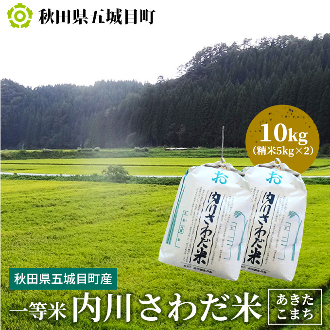ꓙāE삳킾āi܂j10kgi5kg×2jyHc܏ڒYz  10kg Hc܏ڒ32000āEp