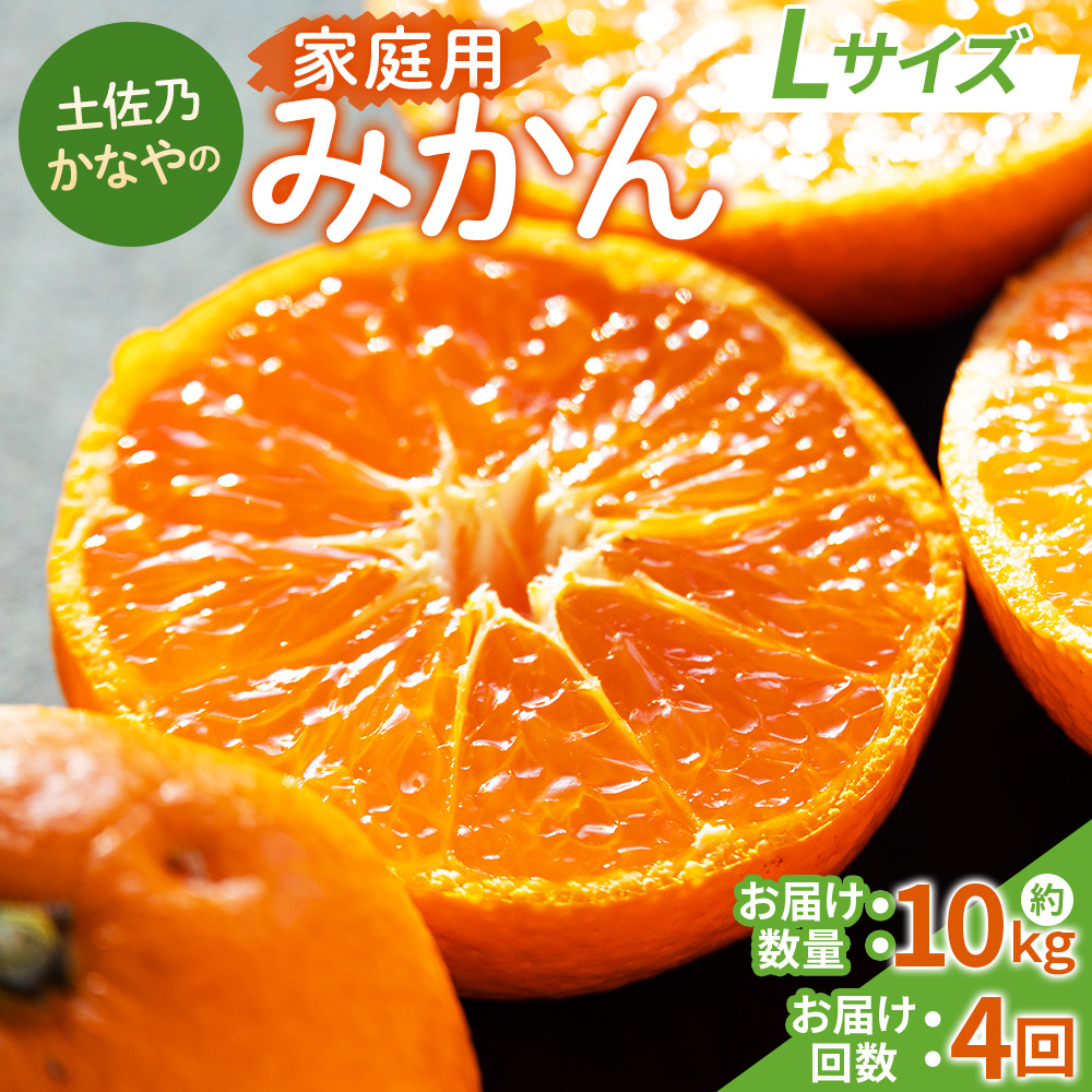 【みかん定期便 4回】土佐乃かなやの家庭用みかん10kg(Lサイズ)×4回 合計40kg - 定期便 数量 国産 早生みかん 極早生みかん グリーンみかん 蜜柑 ミカン 柑橘 果物 くだもの フルーツ ご家庭用