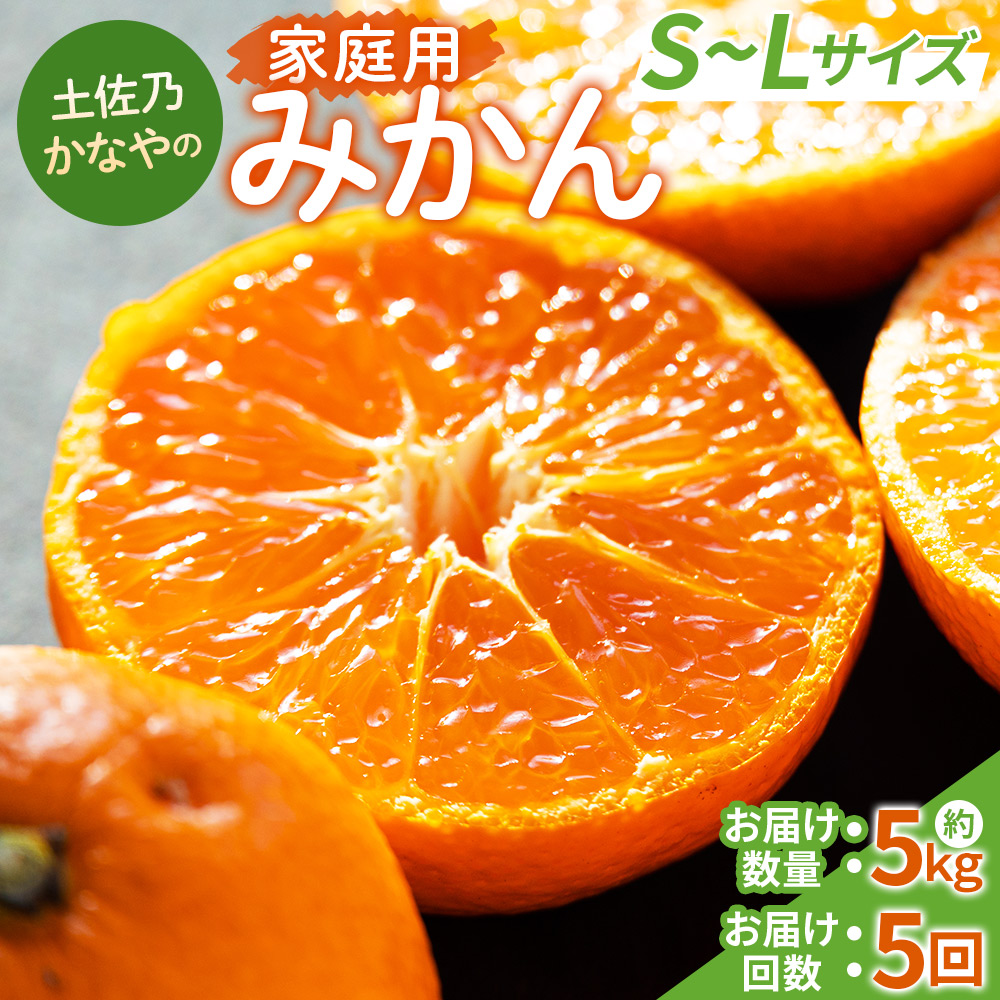 【みかん定期便 5回】土佐乃かなやのみかん5kg(S〜Lサイズ)×5回 合計25kg - 定期便 数量 国産 早生みかん 極早生みかん グリーンみかん 蜜柑 ミカン 柑橘 果物 くだもの フルーツ ご家庭用 ご自