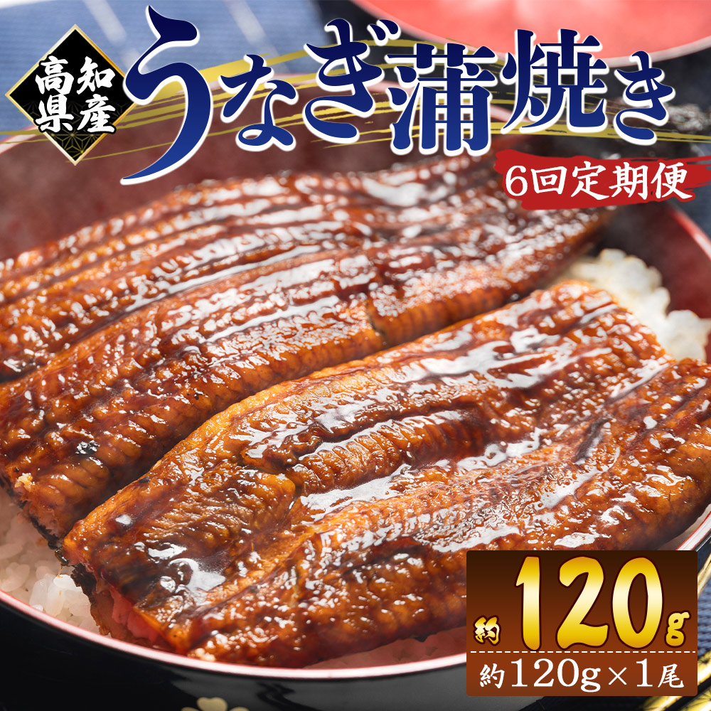 yUցzmY{BȂĂ 100`120g 1 Ȃ  Y CN  ΂₫ V EiM y  y Hi HHi Ⓚ Wfb-0035ms57000ECYȂ