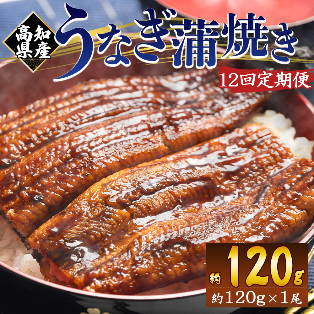 【12回定期便】高知県産養殖うなぎ蒲焼き 100〜120g 1尾 うなぎ 魚介 国産 海鮮 魚 かばやき 鰻 ウナギ 惣菜 おかず お手軽 加工品 加工食品 冷凍 Wfb-0036高知県香南市114000魚介・海産物うなぎ