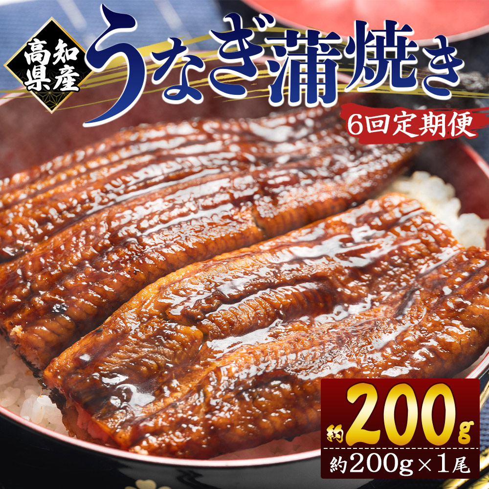 【6回定期便】高知県産養殖うなぎ蒲焼き 約200g×1尾 Wfb-0047高知県香南市63000魚介・海産物うなぎ