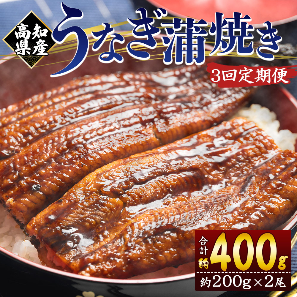 【3回定期便】高知県産養殖うなぎ蒲焼き 約200g×2尾 Wfb-0050高知県香南市51000魚介・海産物うなぎ