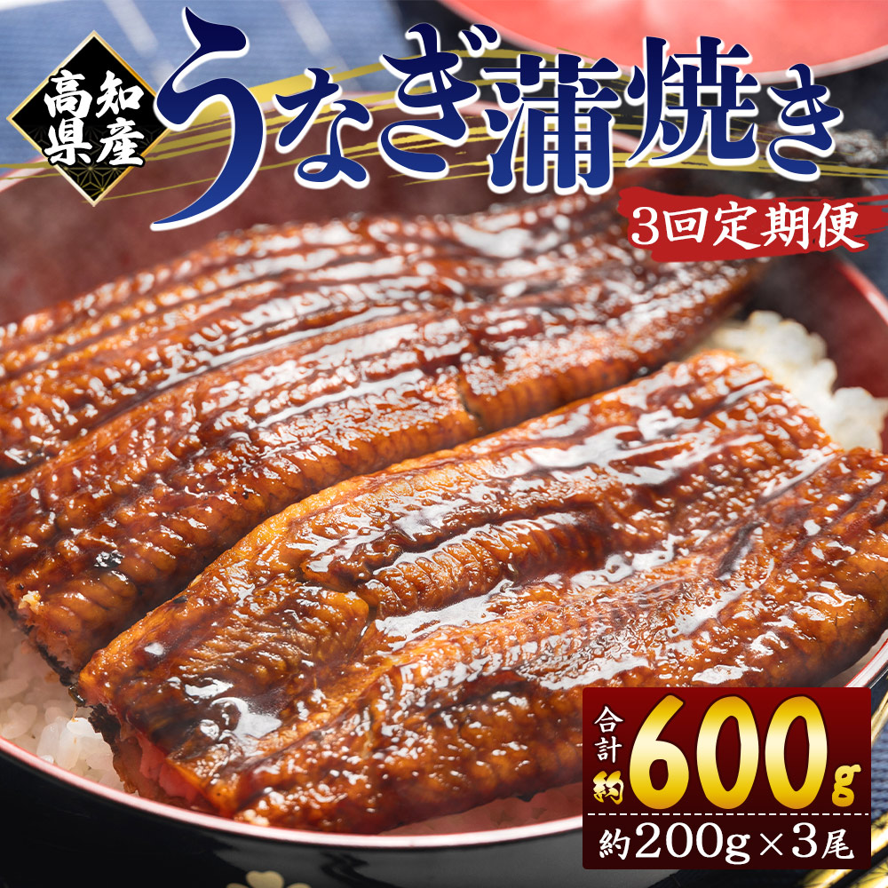 【3回定期便】高知県産養殖うなぎ蒲焼き 約200g×3尾 うなぎ 魚介 国産 海鮮 魚 かばやき 鰻 ウナギ 惣菜 おかず お手軽 加工品 加工食品 冷凍 Wfb-0054高知県香南市69000魚介・海産物うなぎ