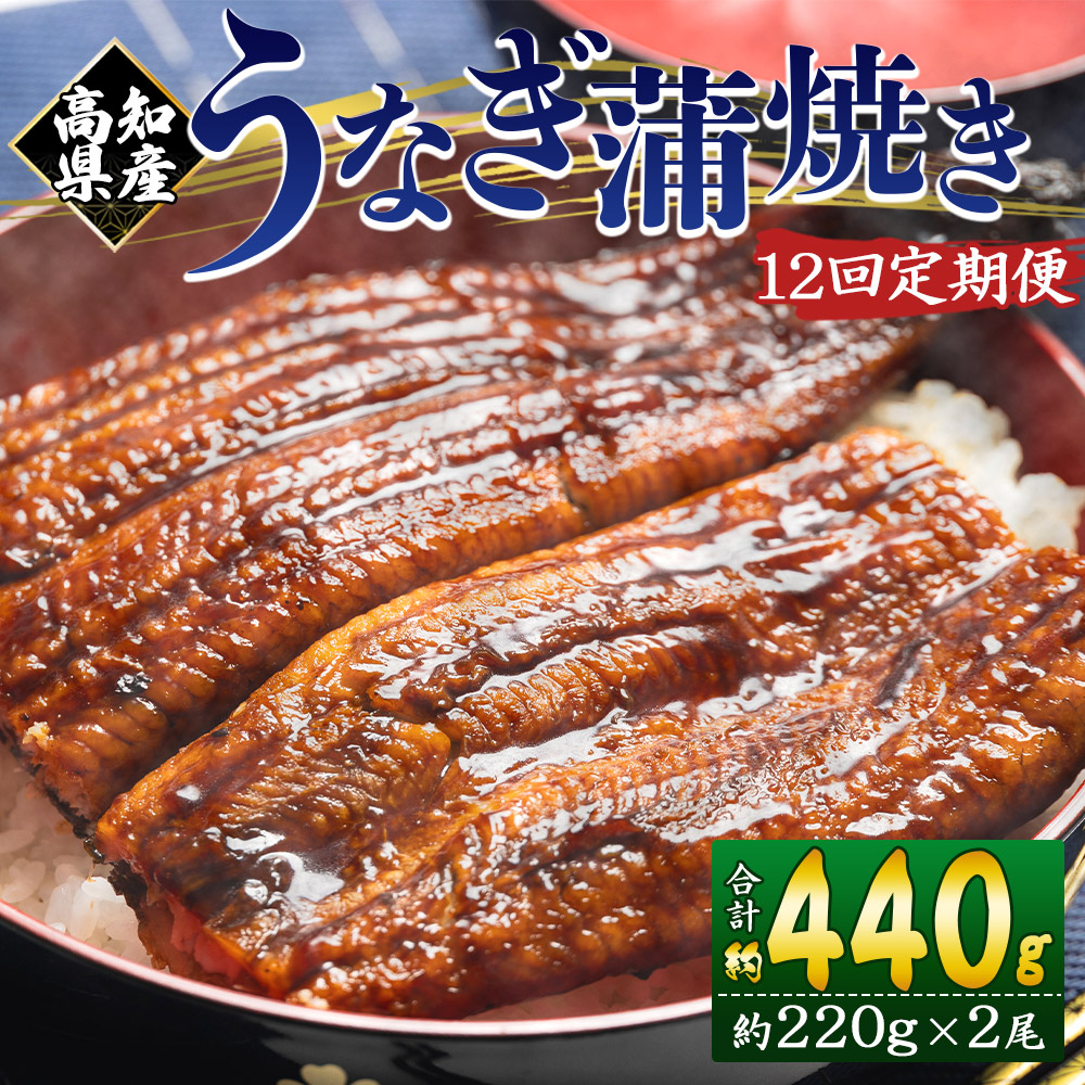 【12回定期便】高知県産養殖うなぎ蒲焼き 約220g×2尾 うなぎ 魚介 国産 海鮮 魚 かばやき 鰻 ウナギ 惣菜 おかず お手軽 加工品 加工食品 冷凍 Wfb-0064高知県香南市222000魚介・海産物うなぎ