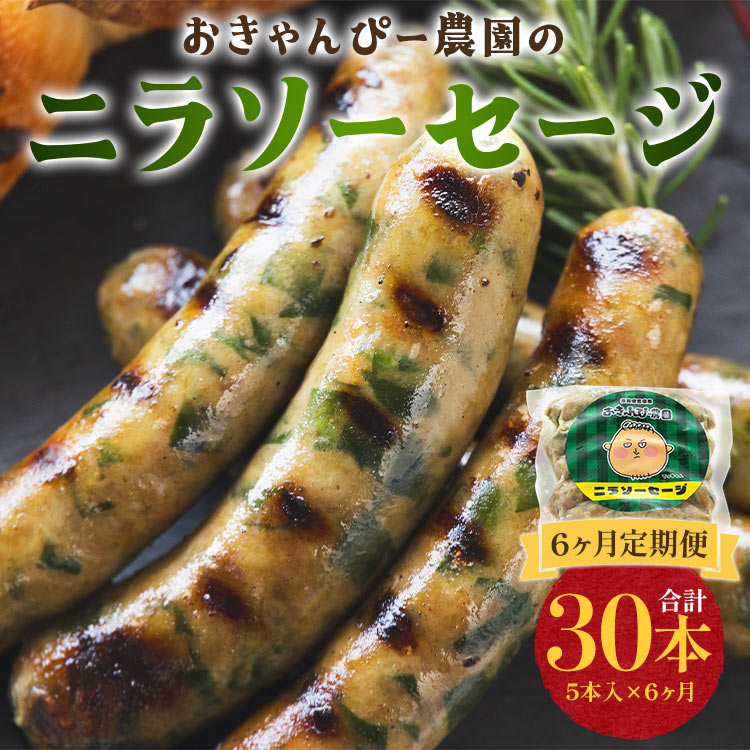 定期便 6ヵ月 生産量日本一のニラソーセージ 5本×6ヵ月 合計30本 - ウィンナー ウインナー 惣菜 加工品 にら 韮 香味野菜 やさい 葉物 国産 おつまみ おかず 鍋 ご飯のお供 バーベキュー ギフ