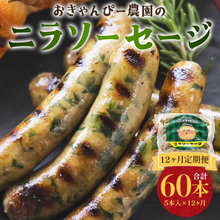 定期便 12ヵ月 生産量日本一のニラソーセージ 5本×12ヵ月 合計60本 - ウィンナー ウインナー 惣菜 加工品 にら 韮 香味野菜 やさい 葉物 国産 おつまみ おかず 鍋 ご飯のお供 バーベキュー ギ