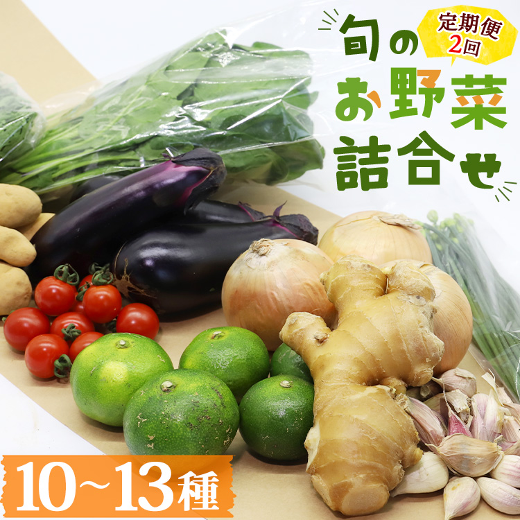 定期便2回コース 高知県香南市産 旬のお野菜詰合せ(10〜13品目) -  10〜13種類 やさい 季節の野菜 新鮮 お楽しみ おたのしみ おまかせ 詰め合わせ セット 土佐野菜 新鮮 国産 高知県 香南市 プ