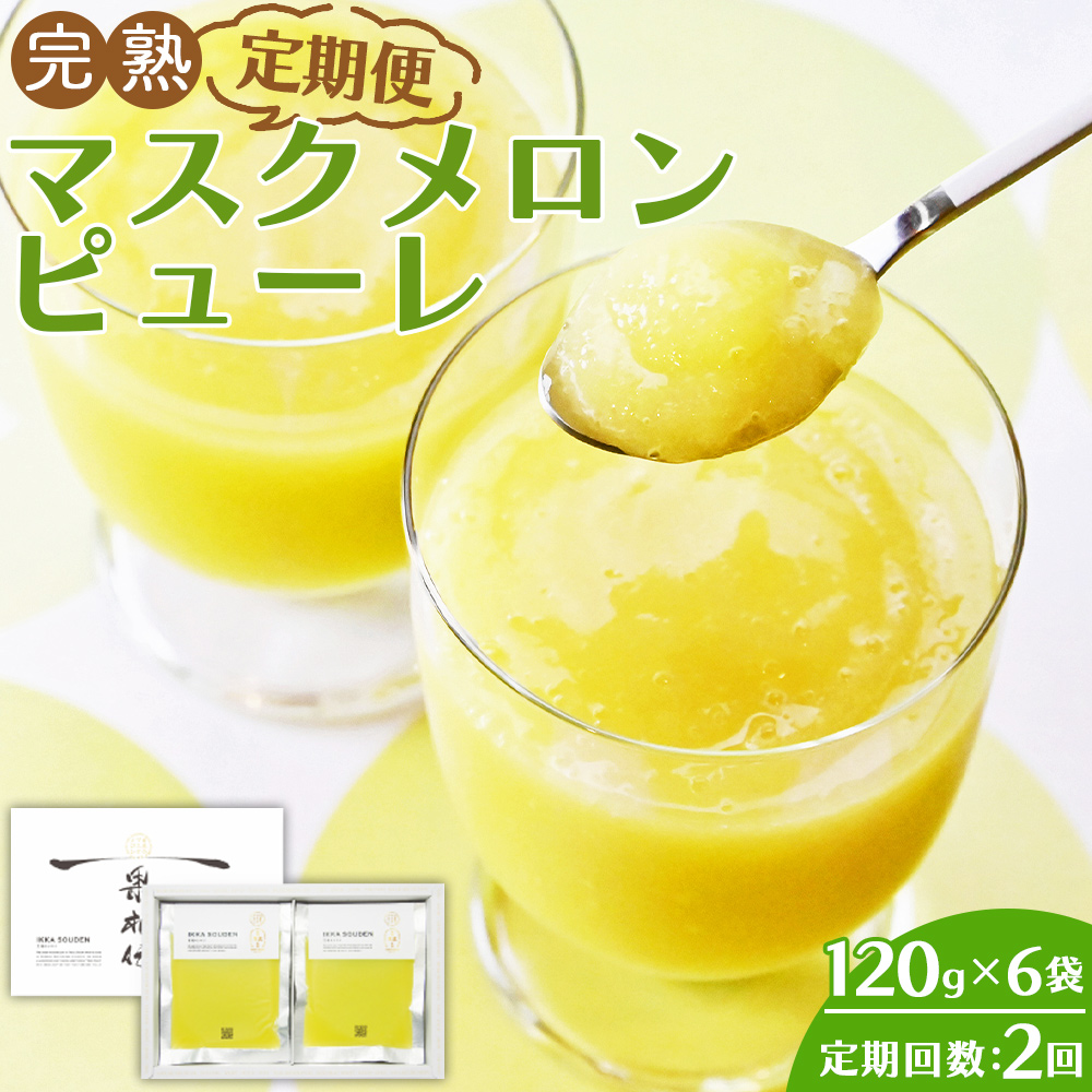 【2回定期便】完熟マスクメロンピューレ 120g×6袋 - JALファーストクラス機内食に採用 果物 くだもの フルーツ めろん 果汁100% まるごと アイス シャーベット デザート スイーツ 篤農 高知県