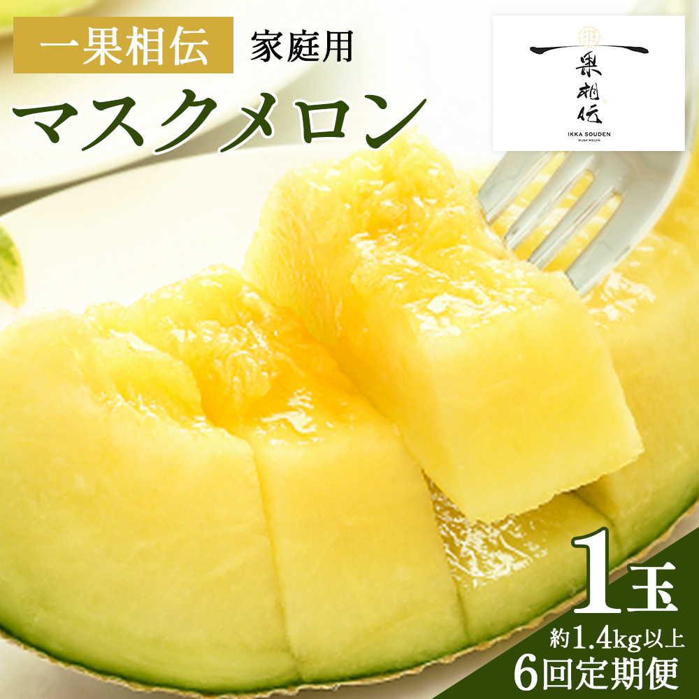 yUցzʑ`}XN ƒp 1ʓ- ߂  p W[V[ ʏ`   Â ܂ Ĕ_ Yn m s 퉷 Wtn-0039ms72000ʕEt