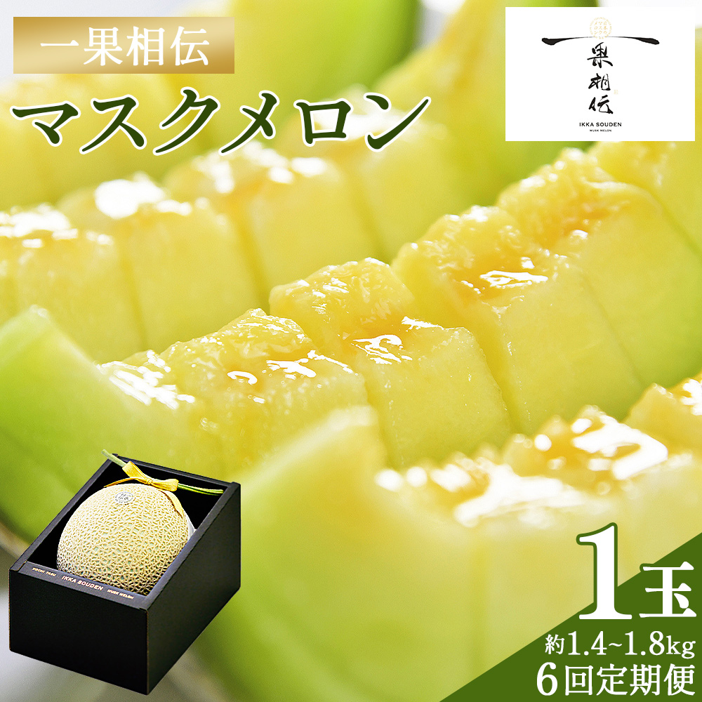 【6回定期便】一果相伝マスクメロン 1玉入り - めろん 青肉 果物 くだもの フルーツ 贈答用 贈答品 贈り物 ギフト お礼 御礼 感謝 お祝い 御祝い 産地直送 新鮮 篤農 高知県 香南市 常温 Wtn-0