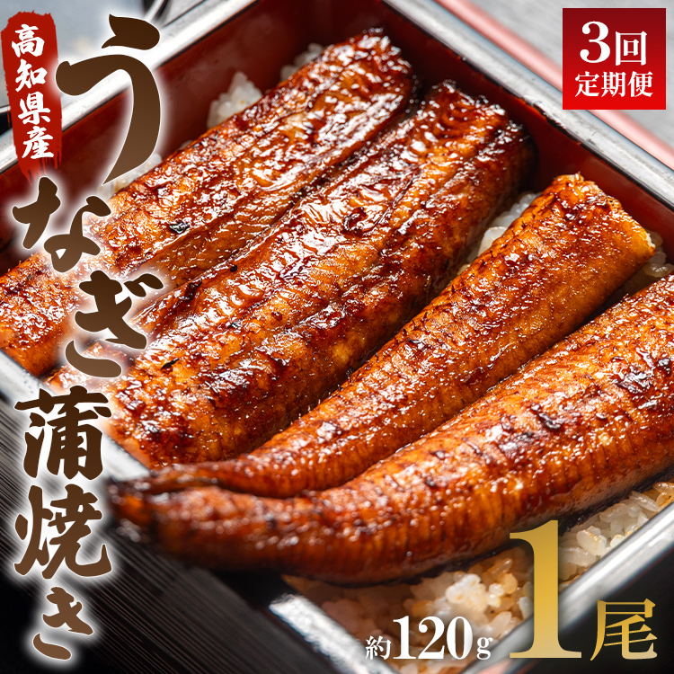 うなぎ 定期便 3回 うなぎ蒲焼き120g 1尾(無頭) 魚介 国産 海鮮 魚 かばやき 鰻 ウナギ 惣菜 おかず お手軽 加工品 加工食品 冷凍 Wun-0020高知県香南市36000魚介・海産物うなぎ