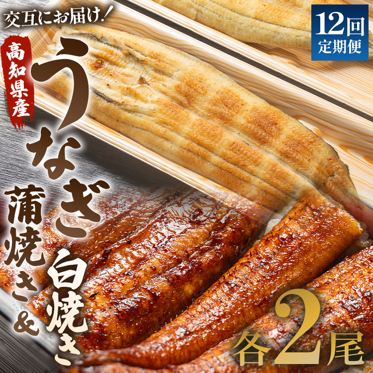 うなぎ 定期便 12回 うなぎ蒲焼き&白焼き120g 2尾(無頭) 交互にお届け 魚介 国産 海鮮 魚 かばやき 鰻 ウナギ 惣菜 おかず お手軽 加工品 加工食品 冷凍 しらやき セット 食べ比べ Wun-0050高知県