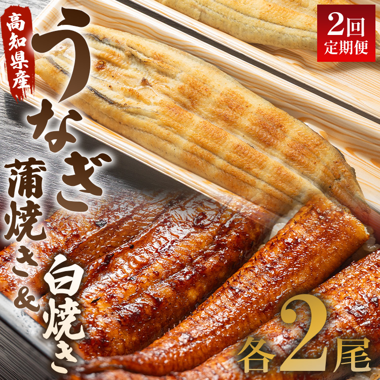 Ȃ  2 Ȃ Ă Ă Zbg 120g e2()  Y CN  ΂₫ V EiM y  y ₫ Hi HHi Ⓚ  Wun-0055ms71000ECY