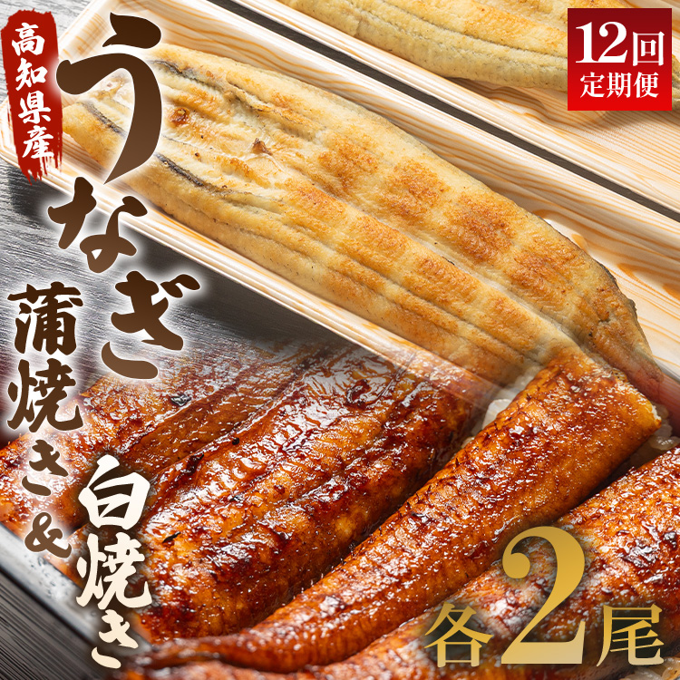 Ȃ  12 Ȃ Ă Ă Zbg 120g e2()  Y CN  ΂₫ V EiM y  y ₫ Hi HHi Ⓚ Wun-0058ms426000EC