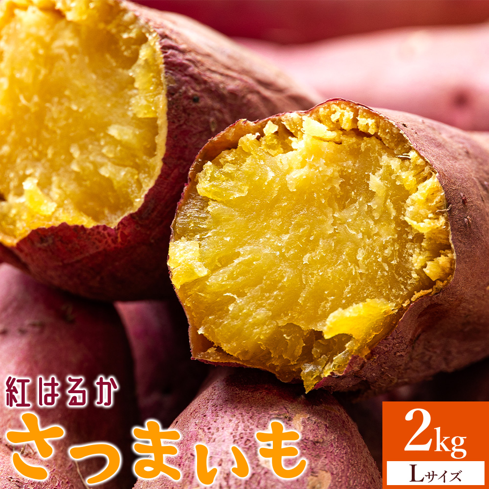 さつまいも(紅はるか) Lサイズ 2kg- サツマイモ さつま芋 野菜 焼き芋 やきいも 焼いも 蒸し芋 おやつ スイーツ スイートポテト 国産 アスタ農園 高知県 香南市【常温】 at-0010高知県香南市10000