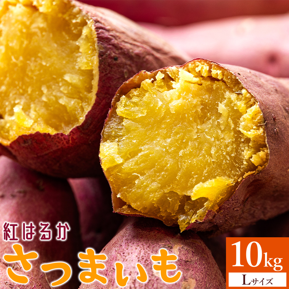 さつまいも(紅はるか) Lサイズ 10kg - サツマイモ さつま芋 野菜 焼き芋 やきいも 焼いも 蒸し芋 おやつ スイーツ スイートポテト 国産 アスタ農園 高知県 香南市【常温】 at-0012高知県香南市240