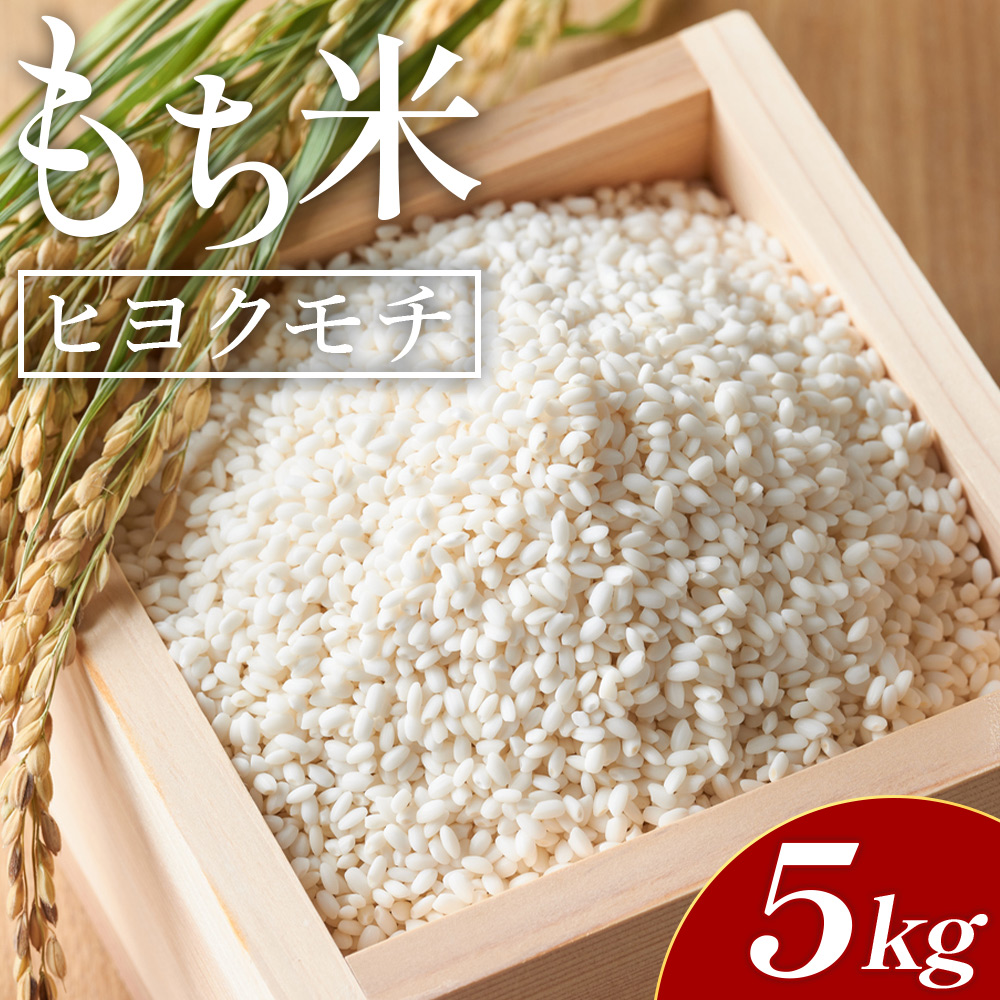  5kg qN` - Y  `   ͂ ڂ G Ԕ   AW  m s 퉷 at-0037ms14000āEpāEGāEāE