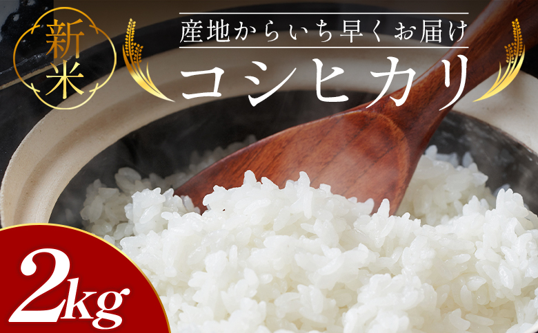 V ߘa7NY RVqJ 2kg -   Y   Ђ ͂   ɂ ނ   h H ~  ͂ ͂ Xs[hz Xs[h