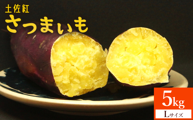 【2026年発送分】さつまいも(土佐紅) Lサイズ 5kg- サツマイモ さつま芋 野菜 焼き芋 やきいも 焼いも 蒸し芋 おやつ スイーツ スイートポテト 国産 アスタ農園 高知県 香南市【常温】 at-0053高