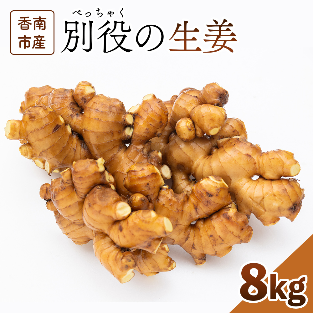 生姜 8kg 香南市産 別役の生姜 bc-0016高知県香南市48000野菜・きのこその他 野菜
