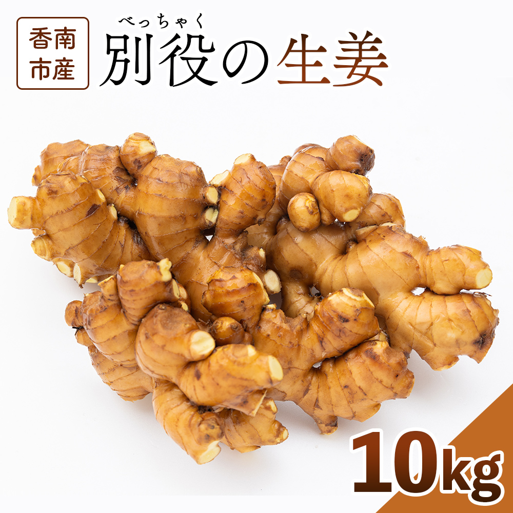 生姜 10kg 香南市産 別役の生姜 bc-0017高知県香南市59500野菜・きのこその他 野菜