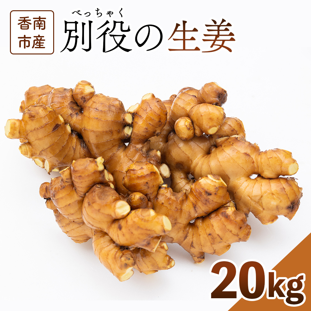 生姜 20kg 香南市産 別役の生姜 bc-0024高知県香南市120000野菜・きのこその他 野菜