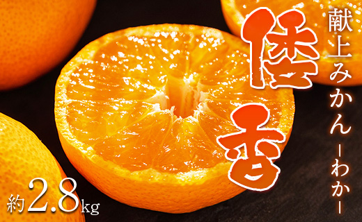 【数量限定】土佐乃かなや マルチ 献上みかん「倭香(わか)」2.8kg -  柑橘 のし 熨斗 数量限定 配送時間指定 箱 贈答品 贈答用 プレゼント ギフト お祝い 内祝い 感謝 お礼 御礼 お歳暮 高知県