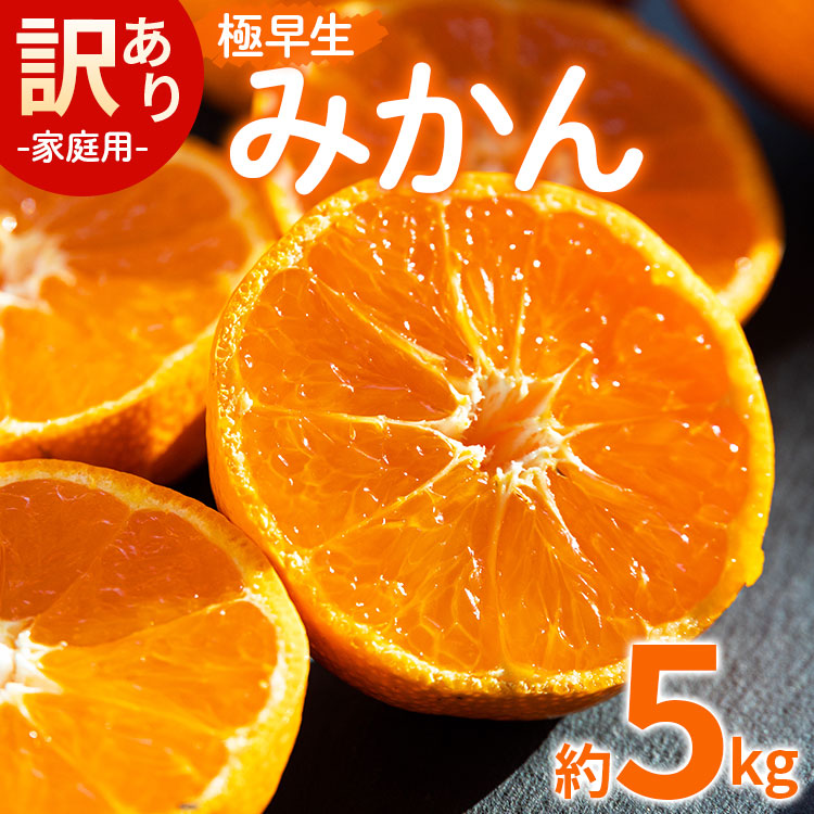 みかん 極早生 5kg 家庭用 訳あり 極早生みかん 約5kg - 家庭用 フルーツ みかん 柑橘 be-0068高知県香南市11500果物・フルーツみかん・柑橘類