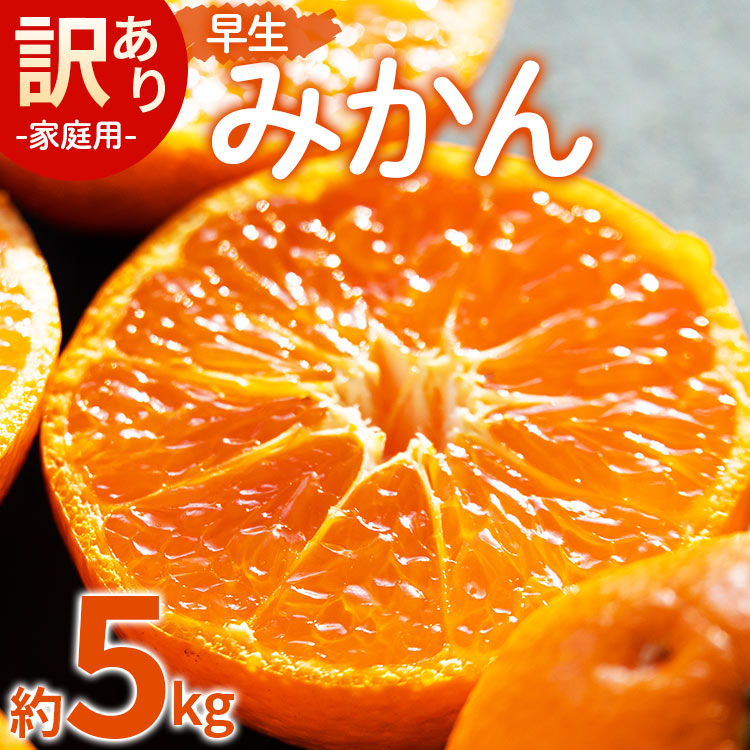 家庭用 訳あり 早生みかん 約5kg(Lサイズ) - 家庭用 フルーツ みかん 柑橘 be-0071高知県香南市13500果物・フルーツみかん・柑橘類