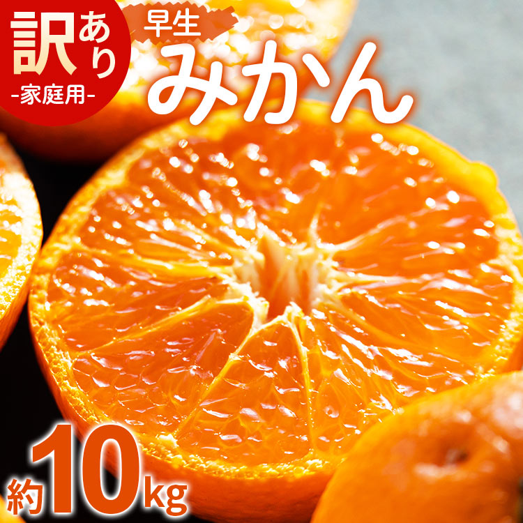 みかん 早生 約10kg 家庭用 訳あり 早生みかん - フルーツ みかん 柑橘 be-0072高知県香南市22000果物・フルーツみかん・柑橘類