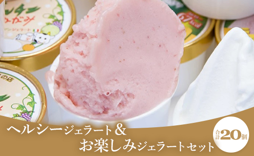 ドルチェかがみ ヘルシージェラート&お楽しみジェラートセット 20個入り dc-0065高知県香南市27000菓子・スイーツアイス・ジェラート