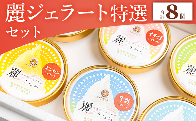 添加物不使用 麗ジェラート 特選 8個セット dc-0068高知県香南市17000菓子・スイーツアイス・ジェラート