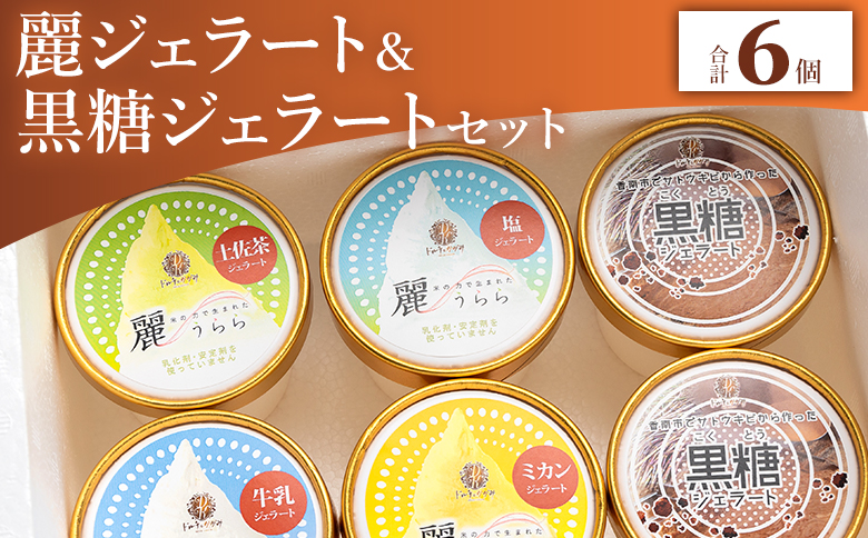 麗ジェラートと黒糖ジェラート 6個セット dc-0071高知県香南市14000菓子・スイーツアイス・ジェラート
